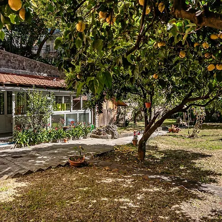 Апартаменты Center Refuge - Free Parking - Garden - Cruises Савона
