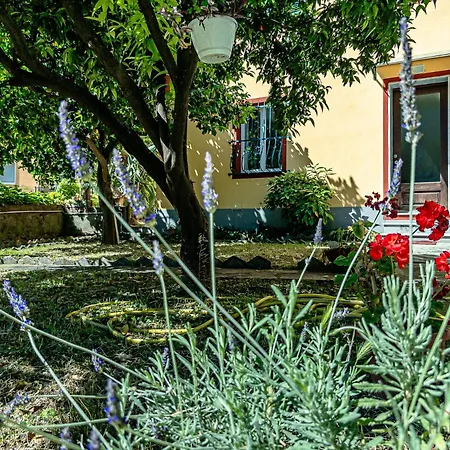 Center Refuge - Free Parking - Garden - Cruises * Савона