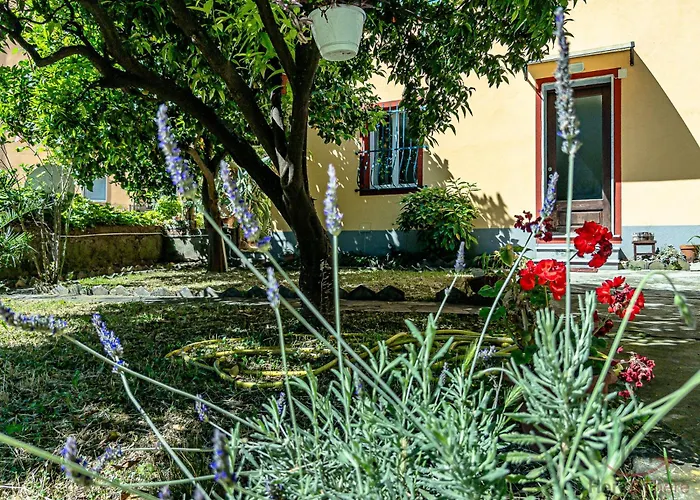 Center Refuge - Free Parking - Garden - Cruises * Savona
